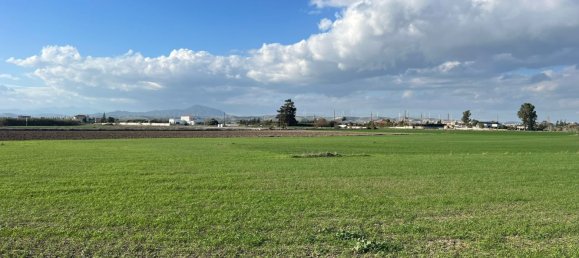14973m² Land for sale in Kiti, Larnaka, Cyprus № 26434 5