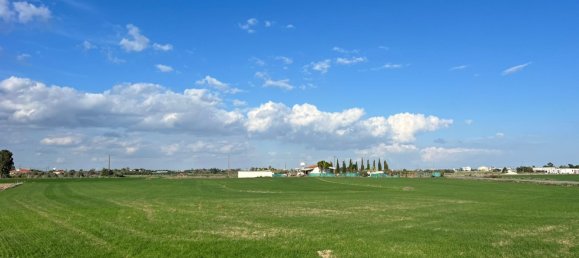 14973m² Land for sale in Kiti, Larnaka, Cyprus № 26434 10