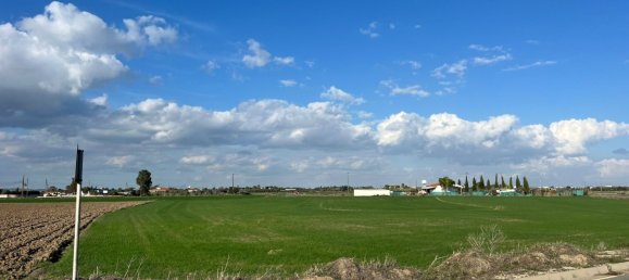 14973m² Land for sale in Kiti, Larnaka, Cyprus № 26434 11
