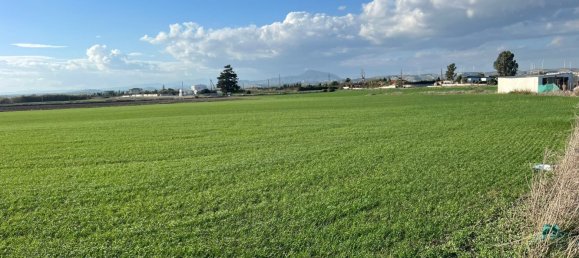 14973m² Land for sale in Kiti, Larnaka, Cyprus № 26434 3