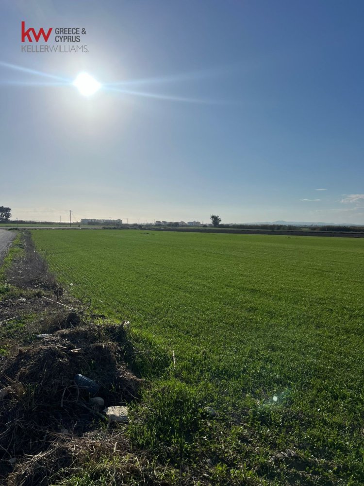 14973m² Land in Kiti, Cyprus No. 26434