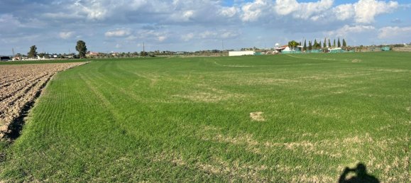 14973m² Land for sale in Kiti, Larnaka, Cyprus № 26434 8