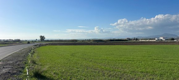14973m² Land for sale in Kiti, Larnaka, Cyprus № 26434 6