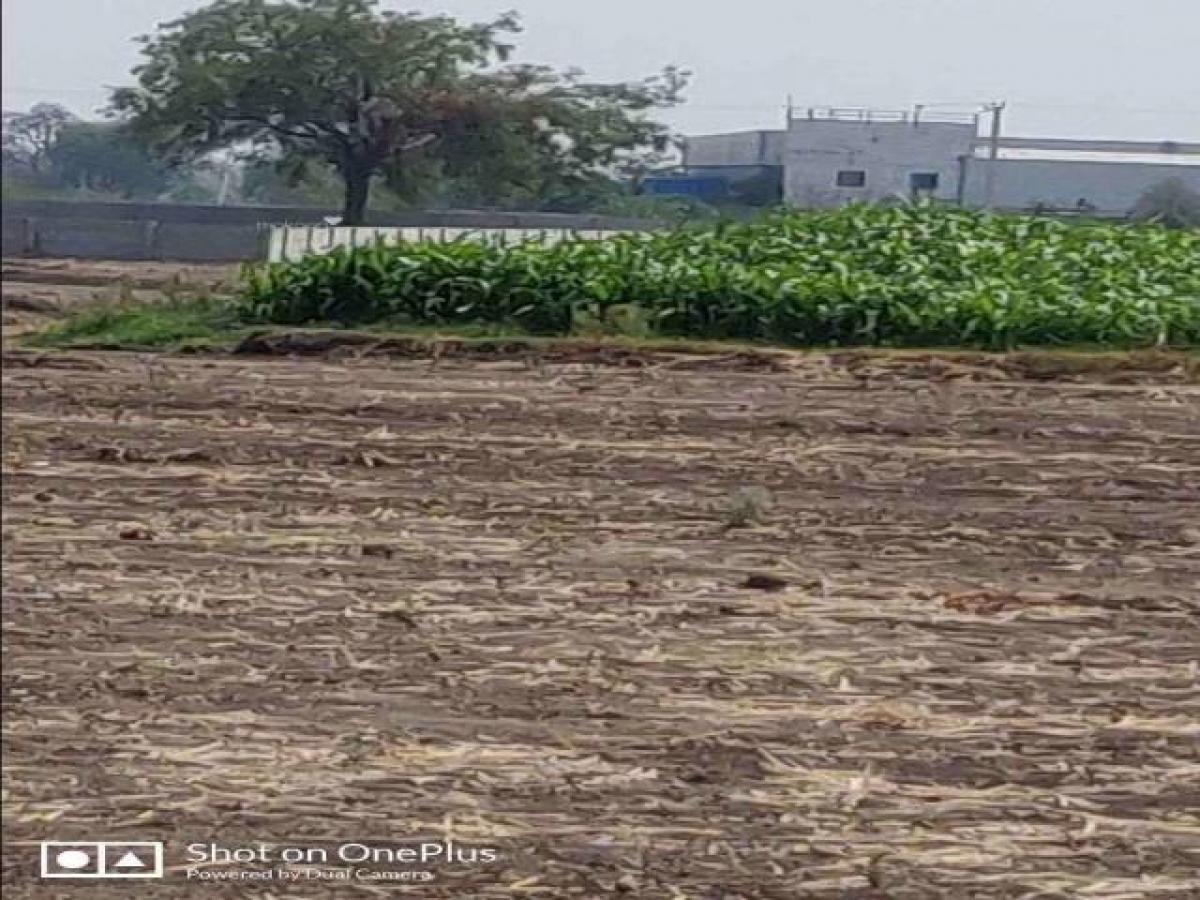 Grundstück in Hyderabad, India, Nr. 36142