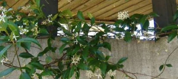 4 غرف نوم شقة في Gallarate, Italy رقم 372610 5