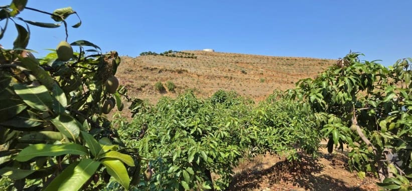 Casa T4 em Velez-Malaga, Spain N.º 249247