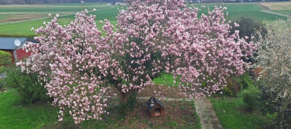 Apartamento T3 em Wetteraukreis, Germany N.º 296636 3