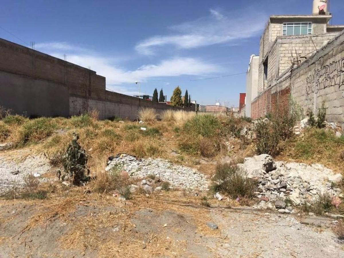  قطعة أرض في Mexico رقم 203895