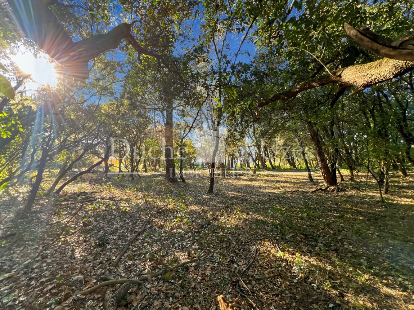  Land in Uzes, France No. 96236