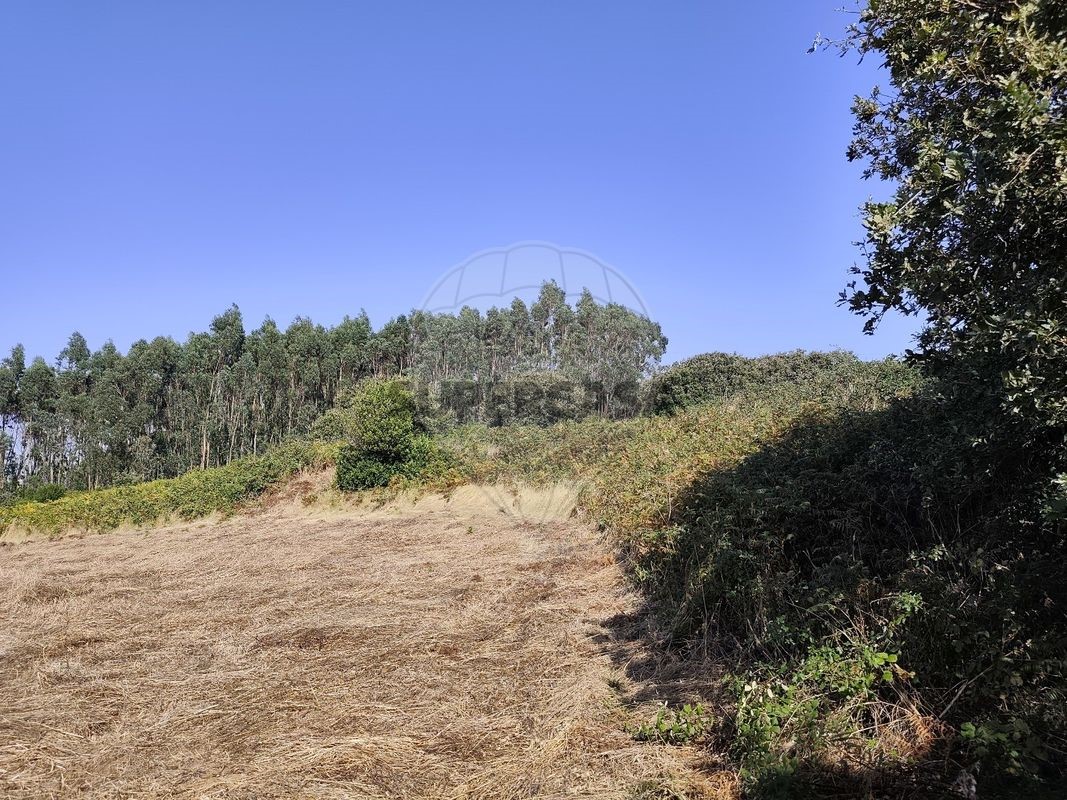 Земельный участок в Лориш, Португалия № 233343