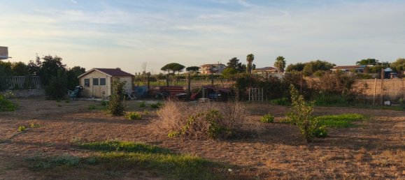 Terrain à Nettuno, Italy No. 372465 5