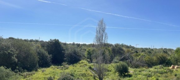 28680m² Land in Paderne, Portugal No. 69542 7