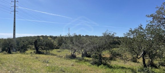28680m² Land in Paderne, Portugal No. 69542 5