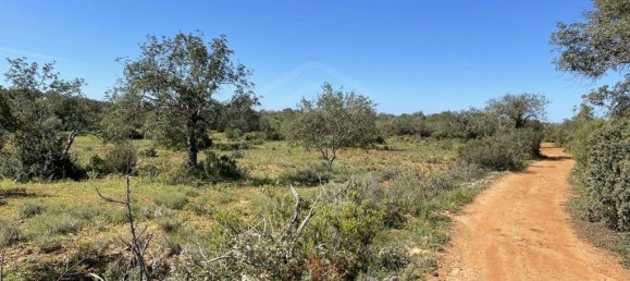 28680m² Land in Paderne, Portugal No. 69542 8