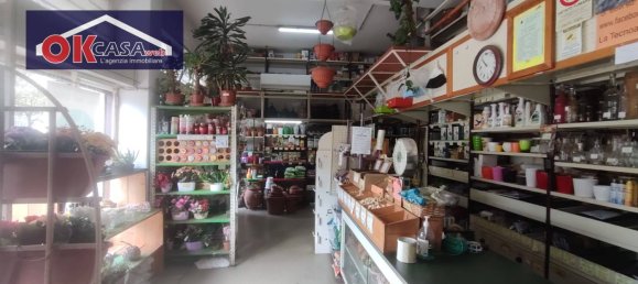  عقار تجاري في Gorizia, Italy 97متر مربع رقم 346735 9