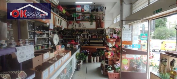  عقار تجاري في Gorizia, Italy 97متر مربع رقم 346735 8