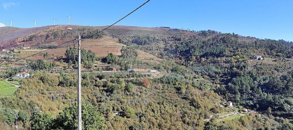 Casa de 4 dormitorios en Baiao, Portugal No. 28066 31