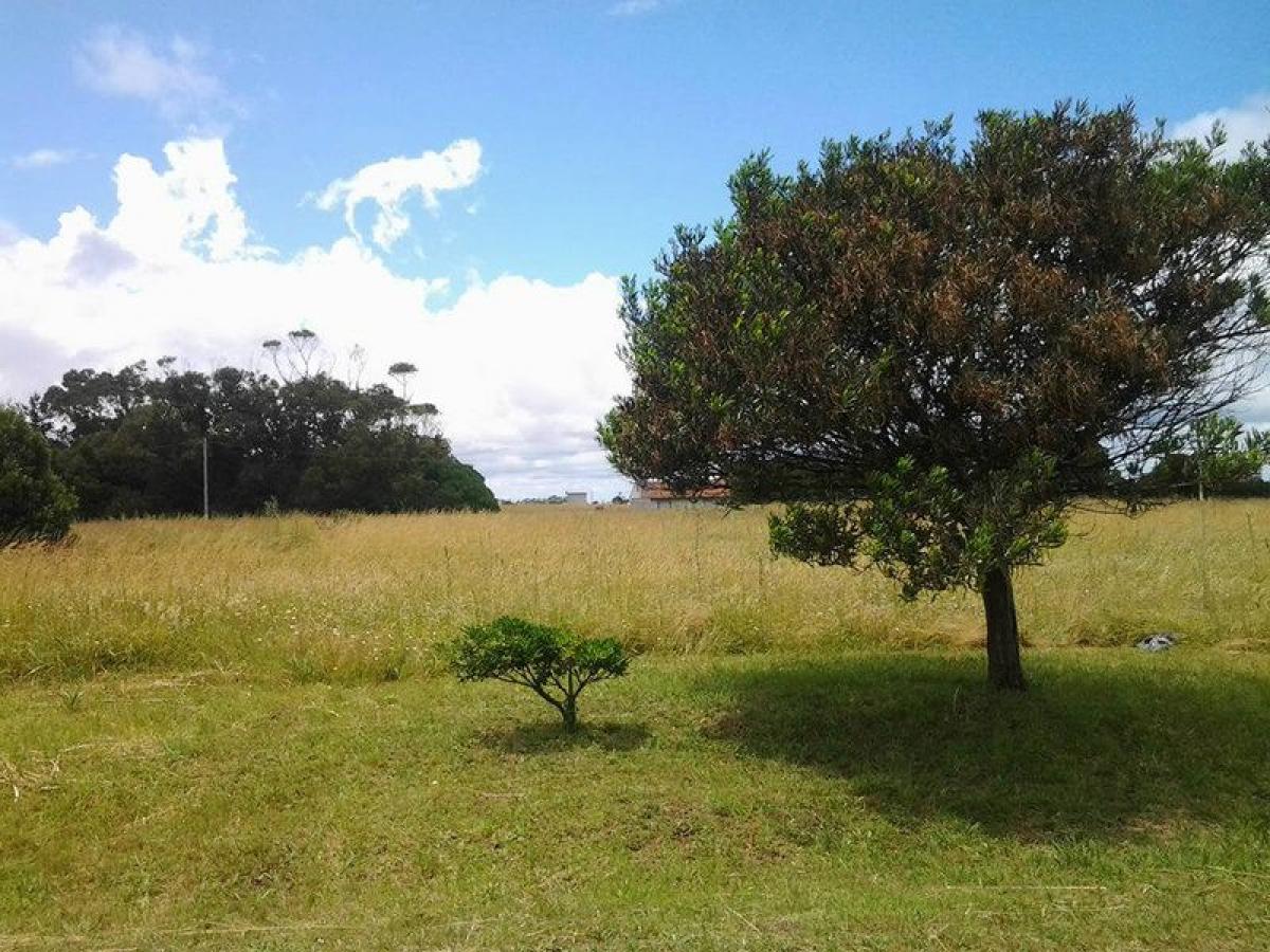  Land in Mar del Plata, Argentina No. 110350