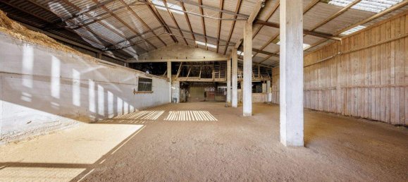 Imóvel comercial de 7 divisões em Grossdietmanns, Austria N.º 48725 11