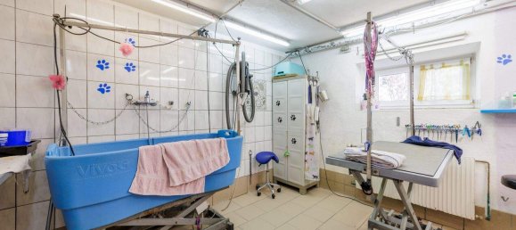 Imóvel comercial de 7 divisões em Grossdietmanns, Austria N.º 48725 13