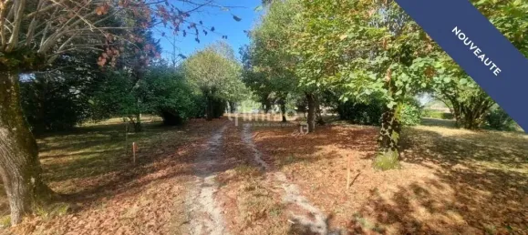 4 bedrooms House in Beychac-et-Caillau, France No. 333713 7