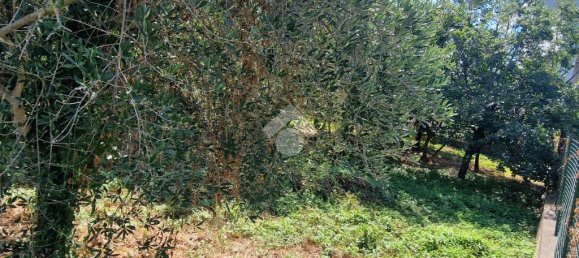 Casa de 3 dormitorios en Montesarchio, Italy No. 273355 16