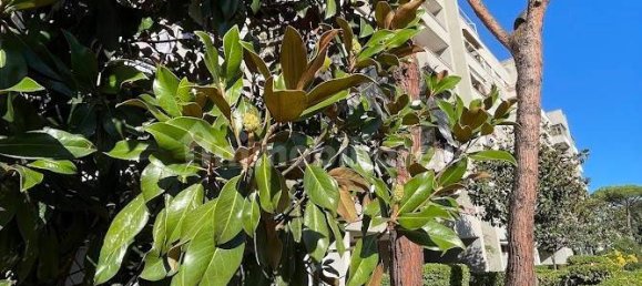 3 bedrooms Apartment in Latina, Italy No. 331108 19