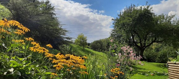 700m² Commercial property in Krumau am Kamp, Austria No. 128239 22