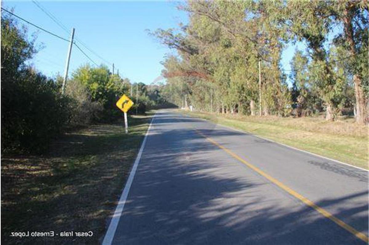  قطعة أرض في Maldonado, Uruguay رقم 15979