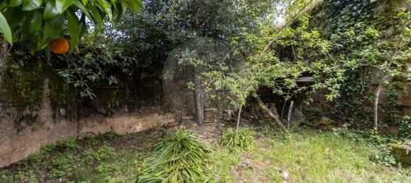 4 bedrooms House in Penacova, Portugal No. 34299 20