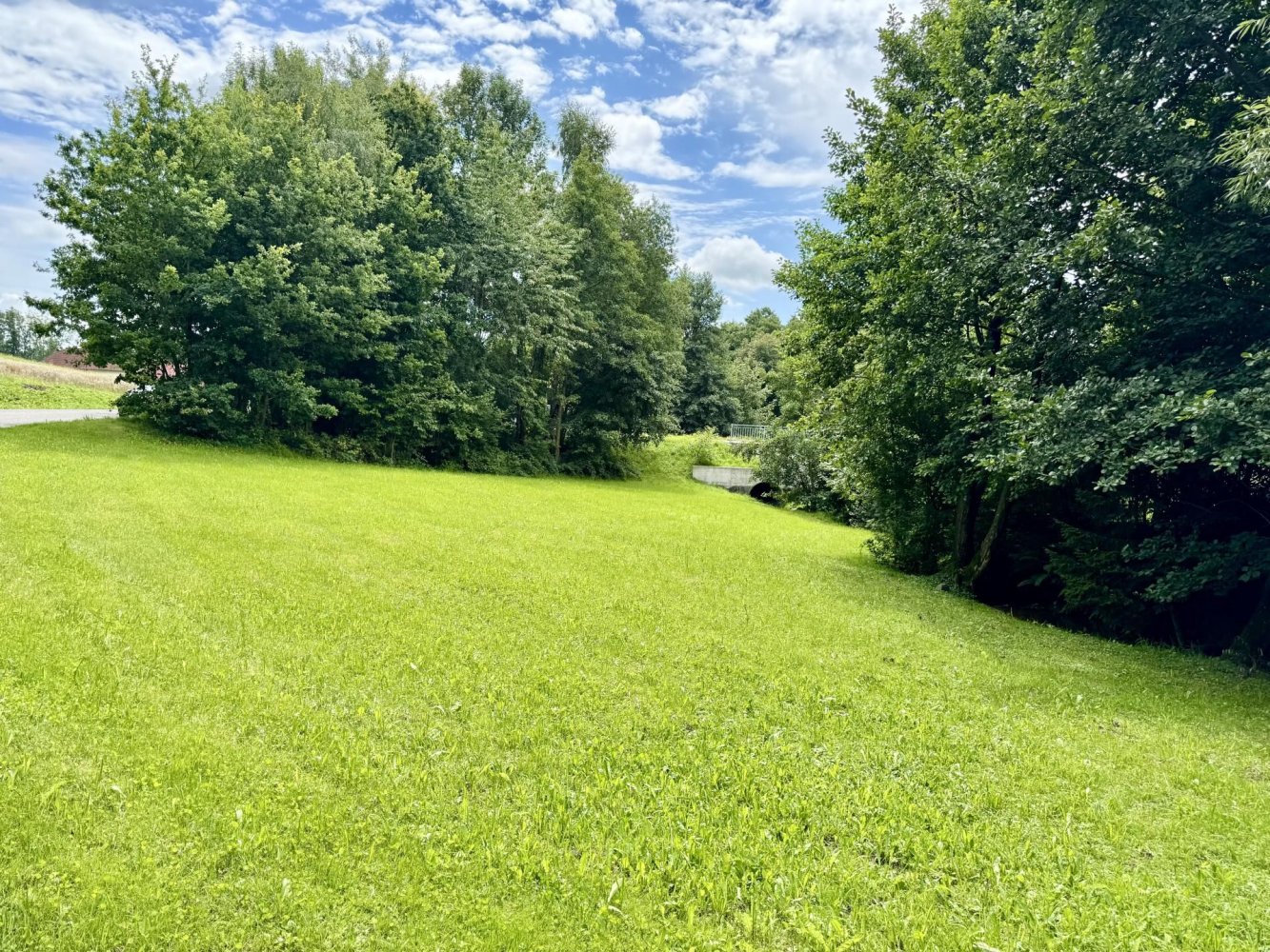 Terrain à Gramastetten, Austria No. 213971