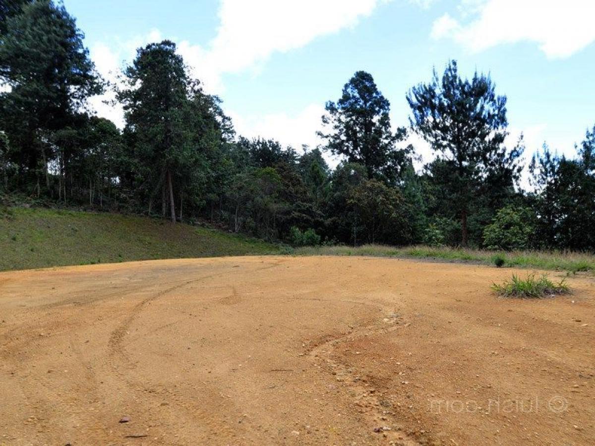 Terreno en Antioquia, Colombia No. 743