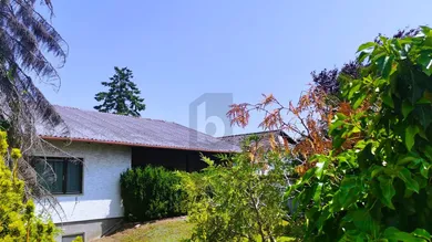 Bungalow de 3 habitaciónes en Sollenau, Austria No. 238193