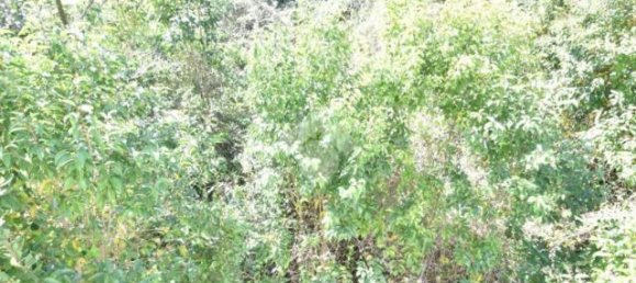 6-salle Villa à Gorizia, Italy No. 36792 8