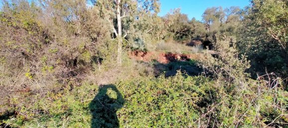 Terreno em Dorgali, Italy 796 m² N.º 301177 16