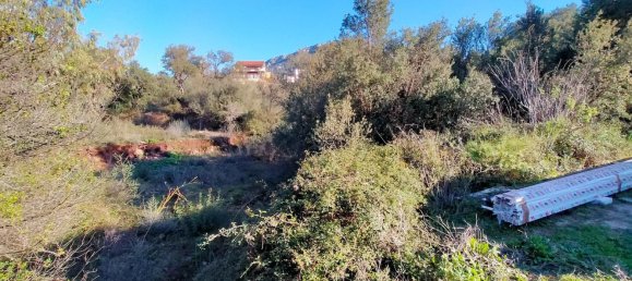 Terreno em Dorgali, Italy 796 m² N.º 301177 15