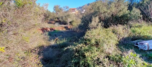 Terreno em Dorgali, Italy 796 m² N.º 301177 13