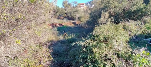 Terreno em Dorgali, Italy 796 m² N.º 301177 12