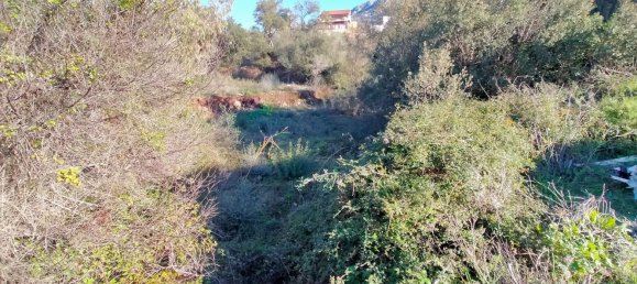 Terreno em Dorgali, Italy 796 m² N.º 301177 11