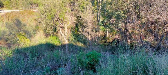 Terreno em Dorgali, Italy 796 m² N.º 301177 22