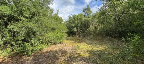 12 غرف نوم منزل في Presicce Acquarica, Italy رقم 270853 47