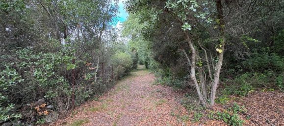 12 غرف نوم منزل في Presicce Acquarica, Italy رقم 270853 49