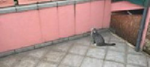 Casa de 4 divisões em Vigasio, Italy N.º 280053 5