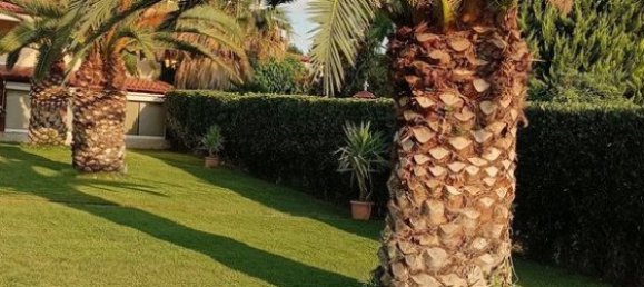 Gewerbliche Immobilien in Euboea, Greece 143m², Nr. 52177 9