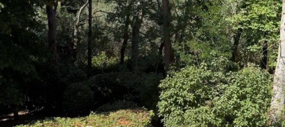 13 bedrooms Villa in Cesena, Italy No. 347739 4