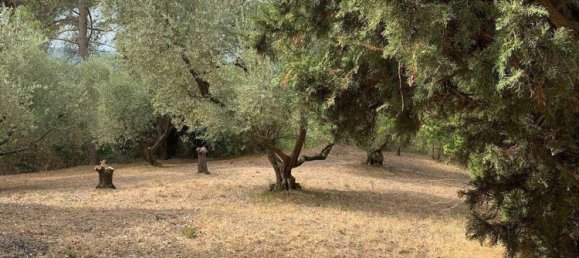 13 bedrooms Villa in Cesena, Italy No. 347739 9