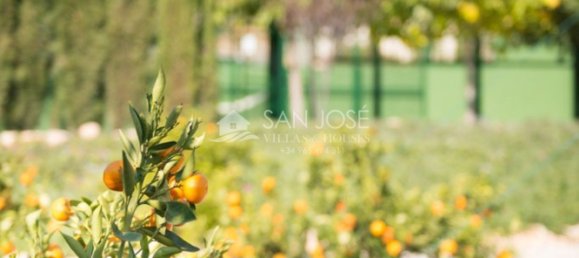 Casa de 5 dormitorios en Hondon De Las Nieves, Spain No. 67478 32