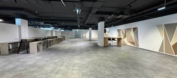 1325m² Commercial property in Liesing, Austria No. 131075 48