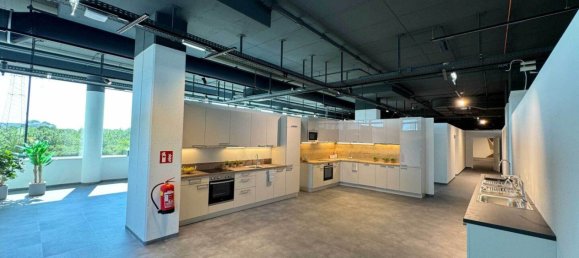 1325m² Commercial property in Liesing, Austria No. 131075 7