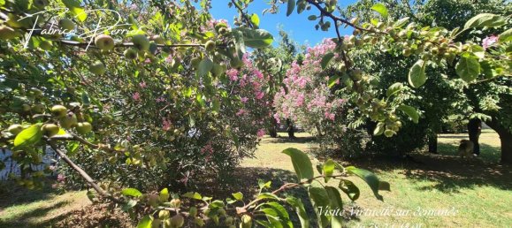 6 bedrooms House in Montelimar, France No. 302468 6